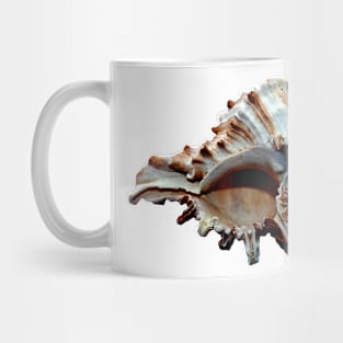 Dark grand conch seashell Mug